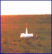 thumbnail of rocket launch